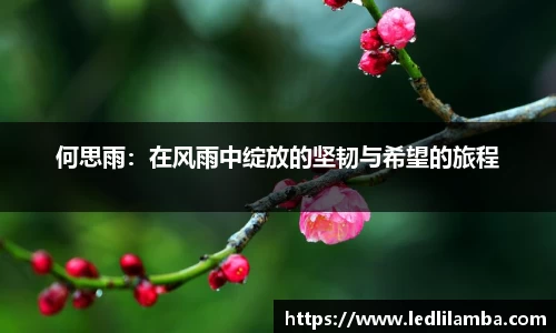 何思雨：在风雨中绽放的坚韧与希望的旅程